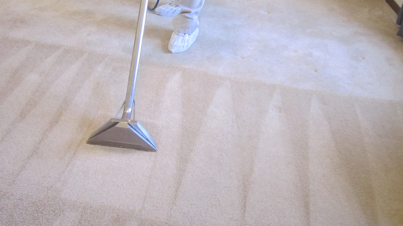 House Cleaning Services Castle Rock, CO