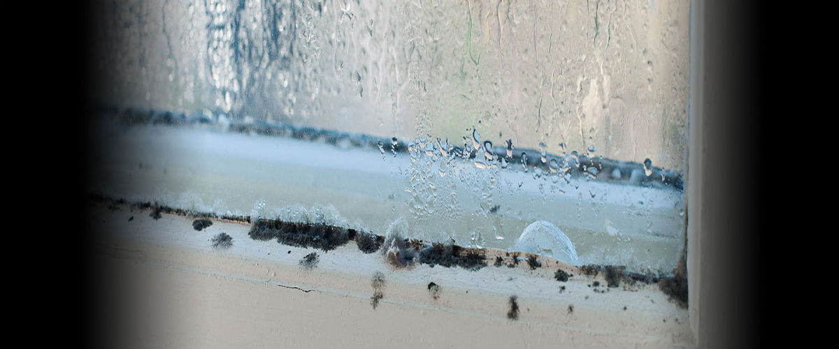 Water Damage Repair Experts Palm Desert CA