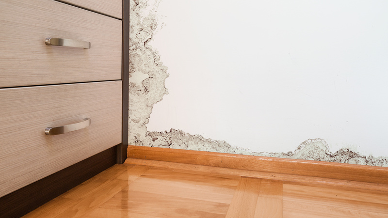 Water Damage Removal Services in Little Rock AR
