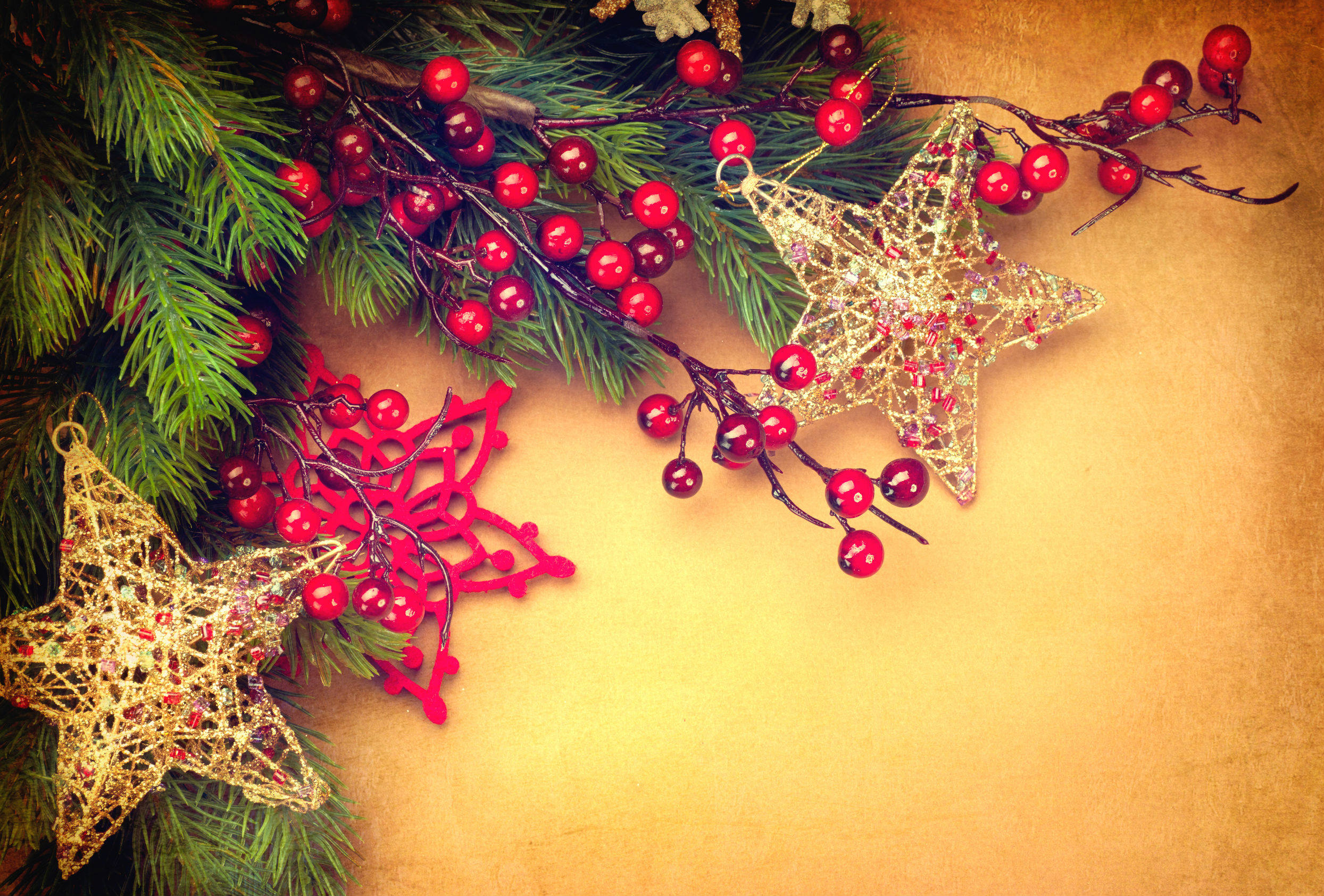 Get Christmas Trees Decorations in Dallas TX