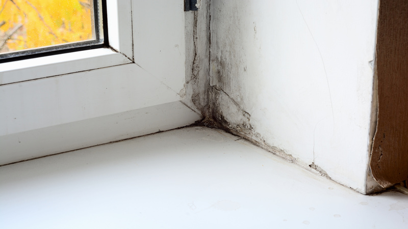 Flood Restoration Company San Diego County