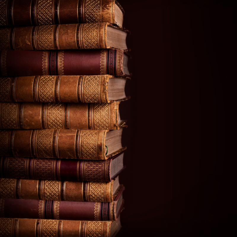 Holocaust Survivor Book – UNSTOPPABLE