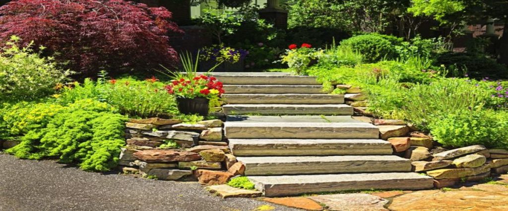Lawn Care Tulsa