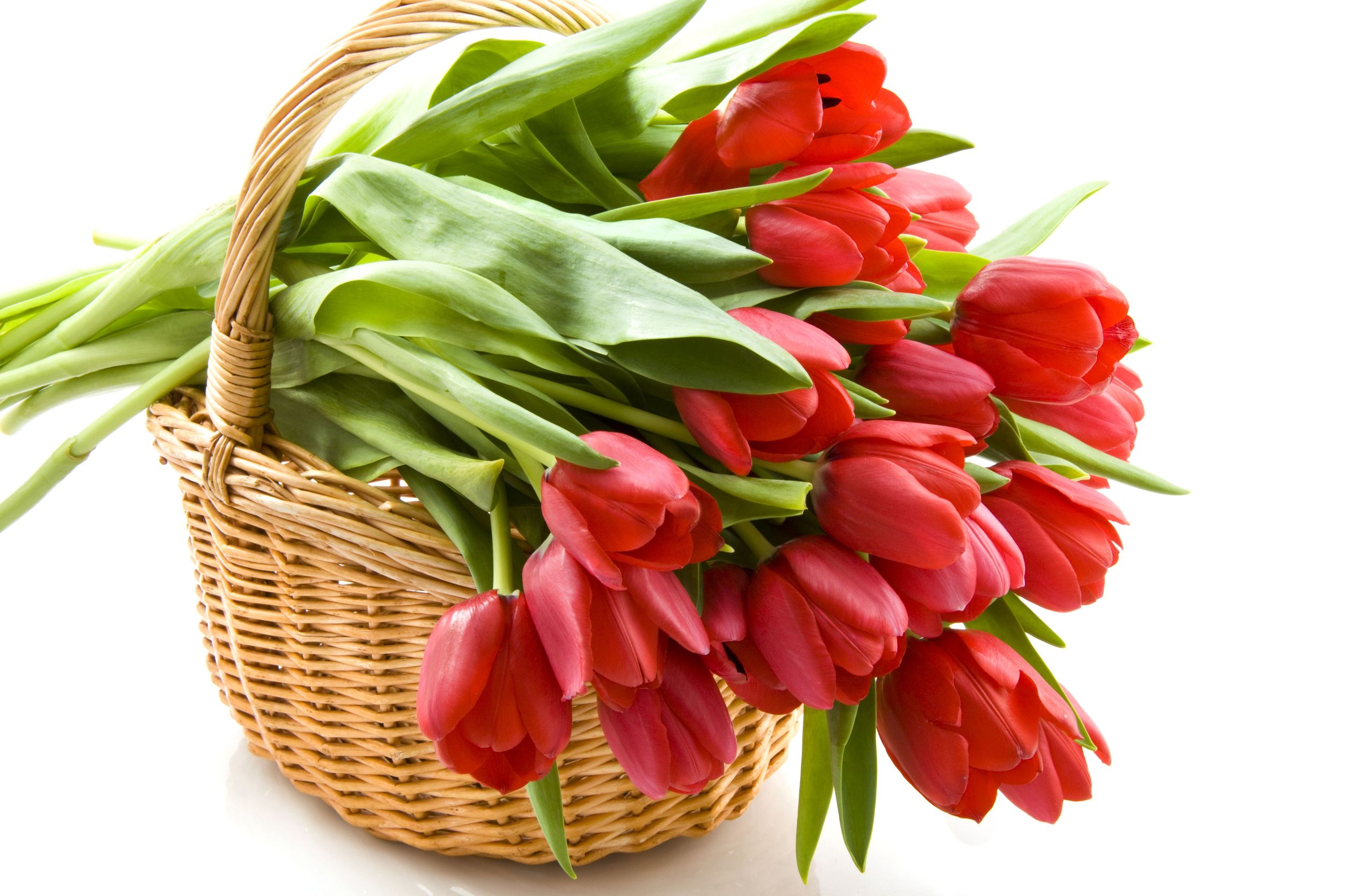 Flower Delivery London Ontario