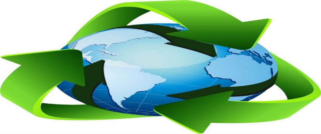 Waste Removal and Management Services