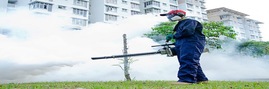 Vegetation Management Alberta