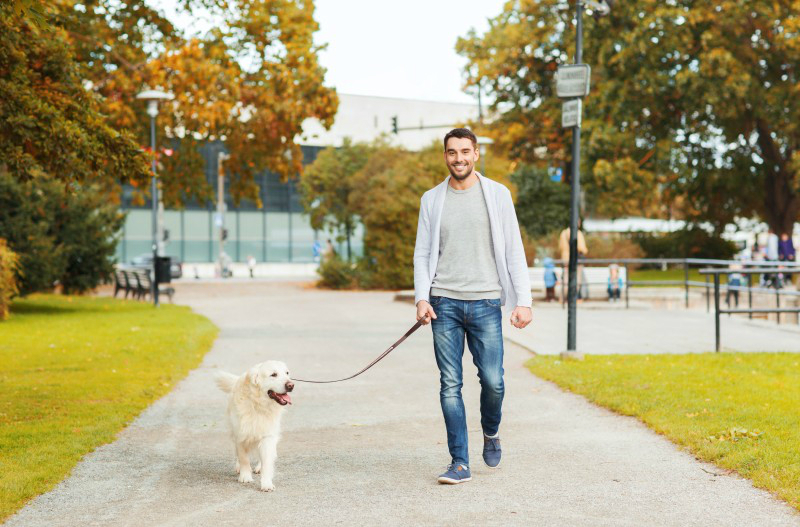 Dog Walker NYC