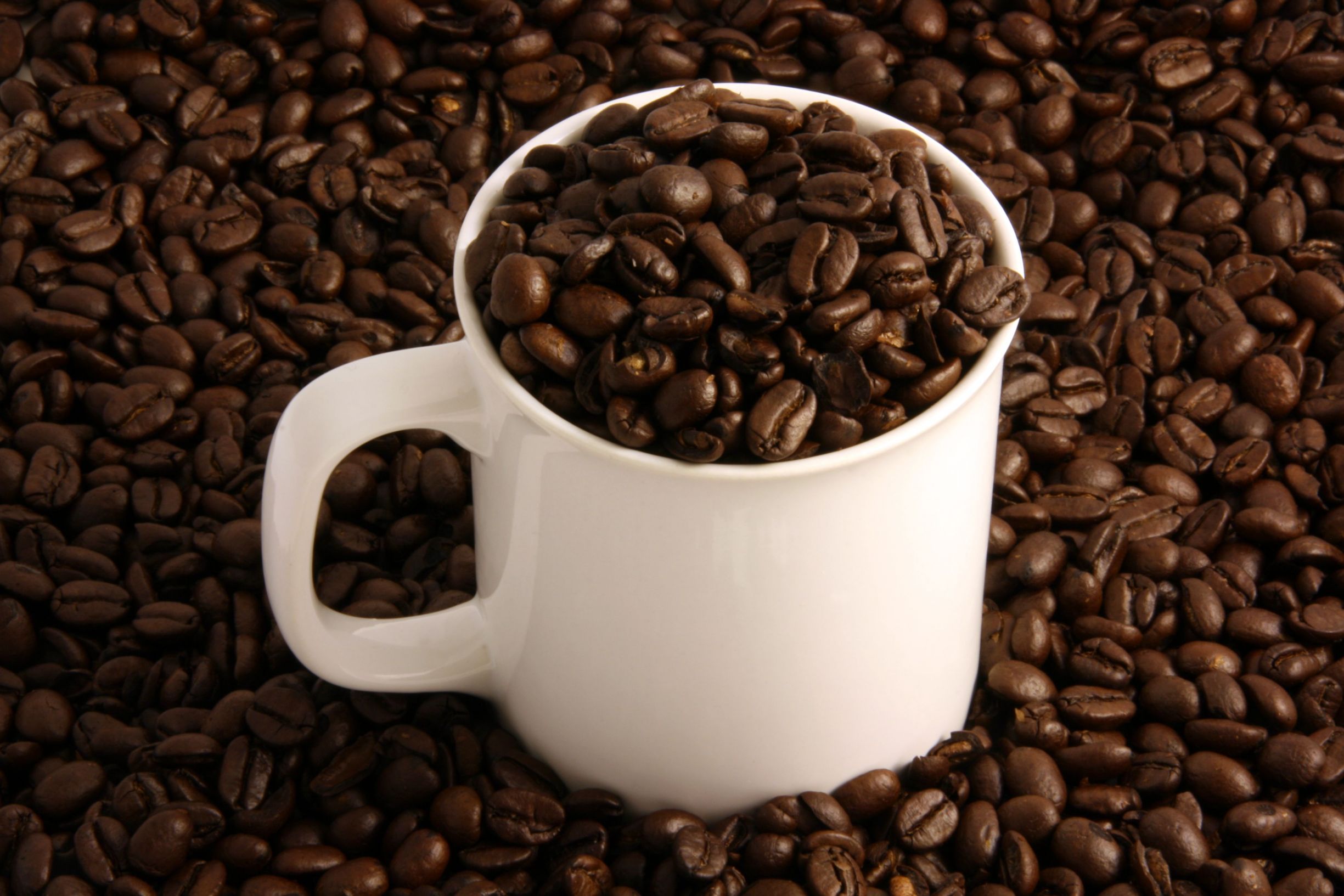 Instant Coffee Packets