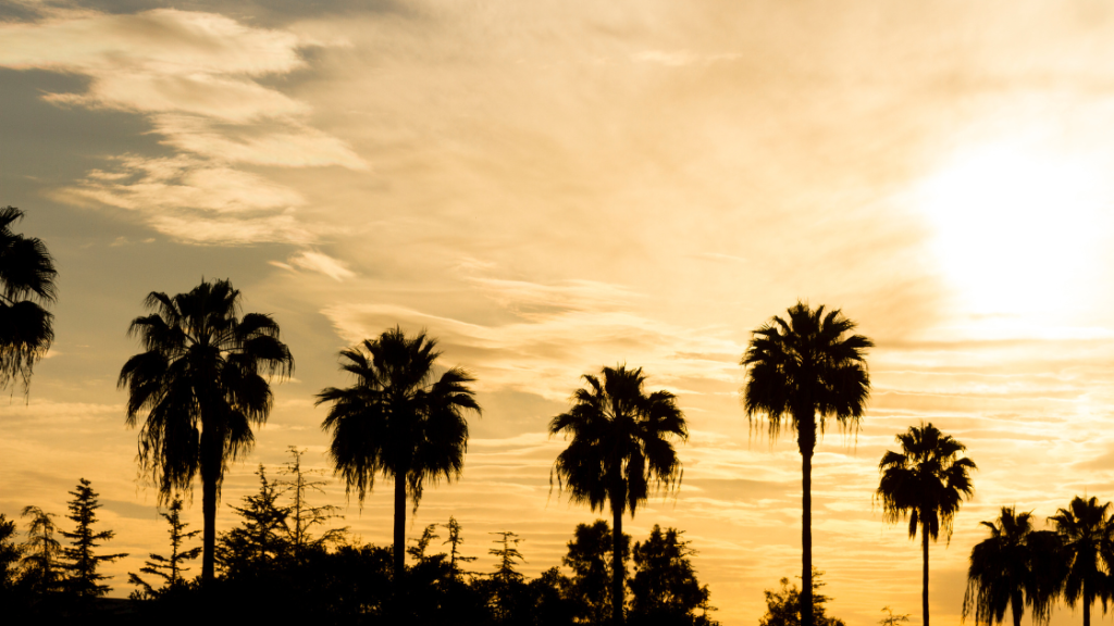 Estate Planning Attorney Orange CA