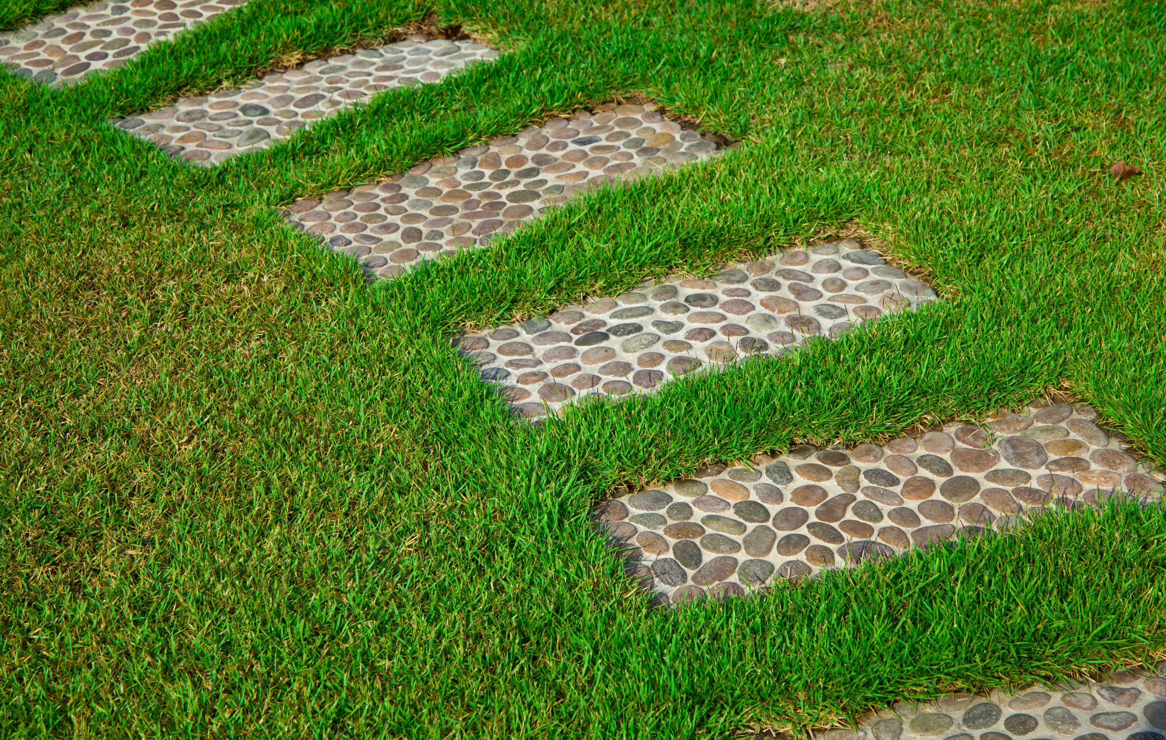 Maintain The Quality Of Your Lawn in Bronx NY